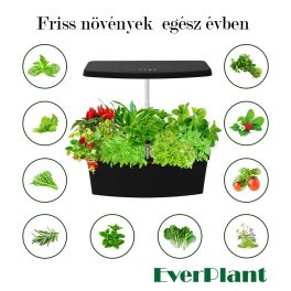 Hidropónikus termesztőgépek